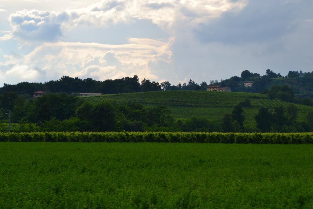 Bed And Breakfast Villa Novella Crocetta del Montello Exterior foto